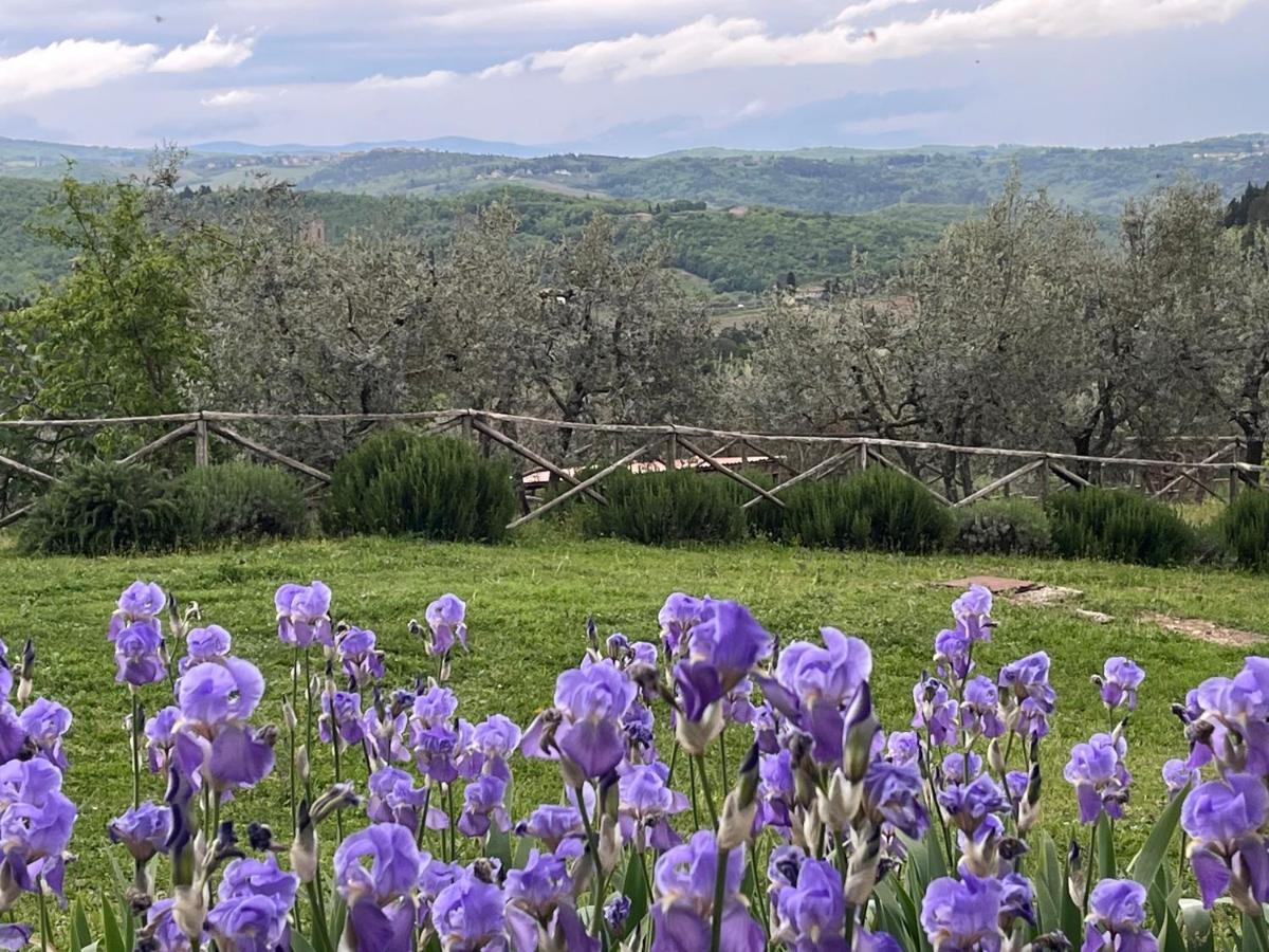 Apartamento Il Fiorino Di Badia Badia A Passigano Exterior foto