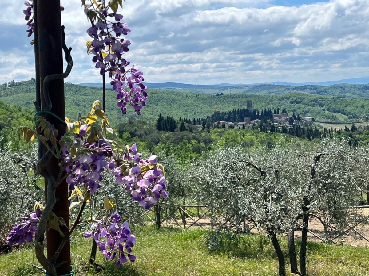 Apartamento Il Fiorino Di Badia Badia A Passigano Exterior foto